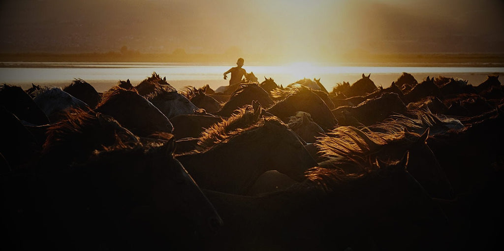 Art from the land of beautiful horses - GAD Roots