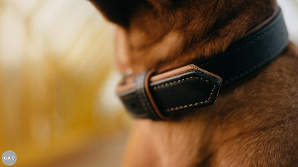 Handmade Leather Dog Collars