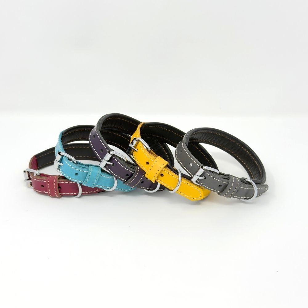 ColorPop – Vibrant Leather Dog Collars - GAD Roots