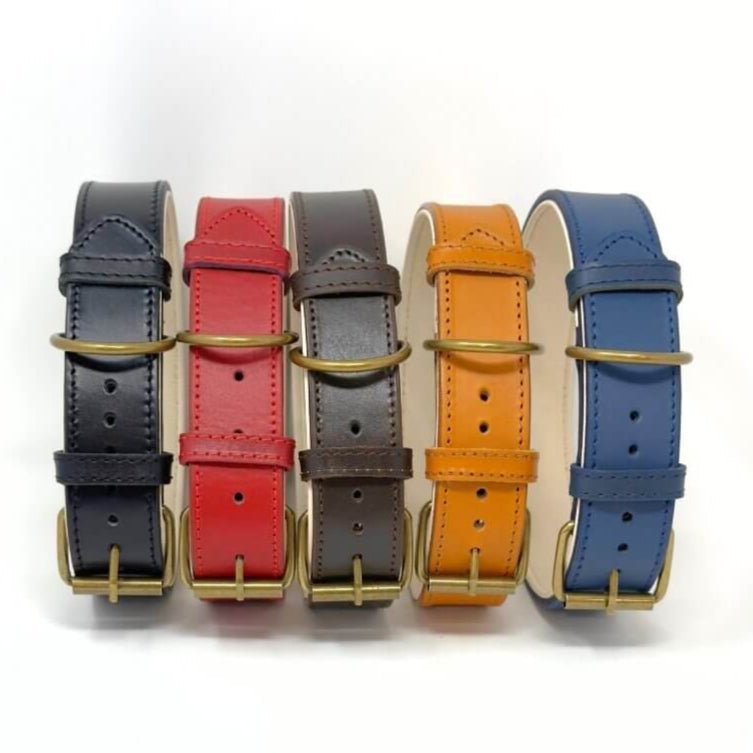 CustomFit – Soft Padded Leather Dog Collars - GAD Roots