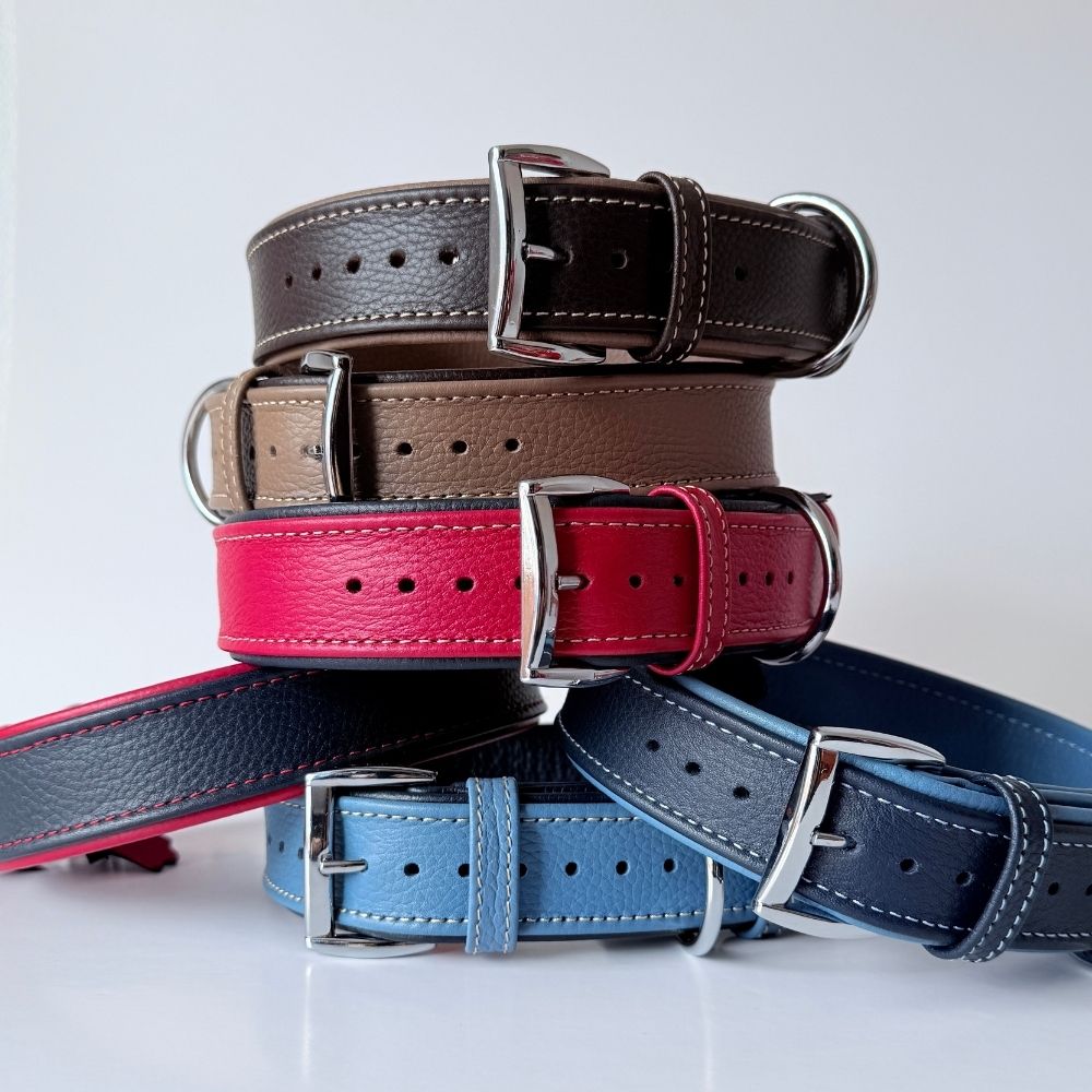 Dog Collars - GAD Roots