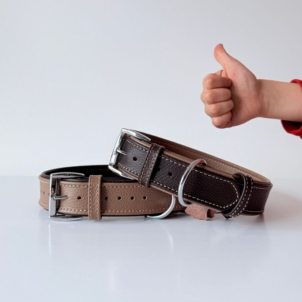 Leather Dog Collars - GAD Roots