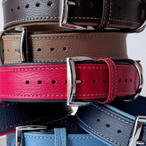 Nuna Luxe – Premium Leather Dog Collars - GAD Roots