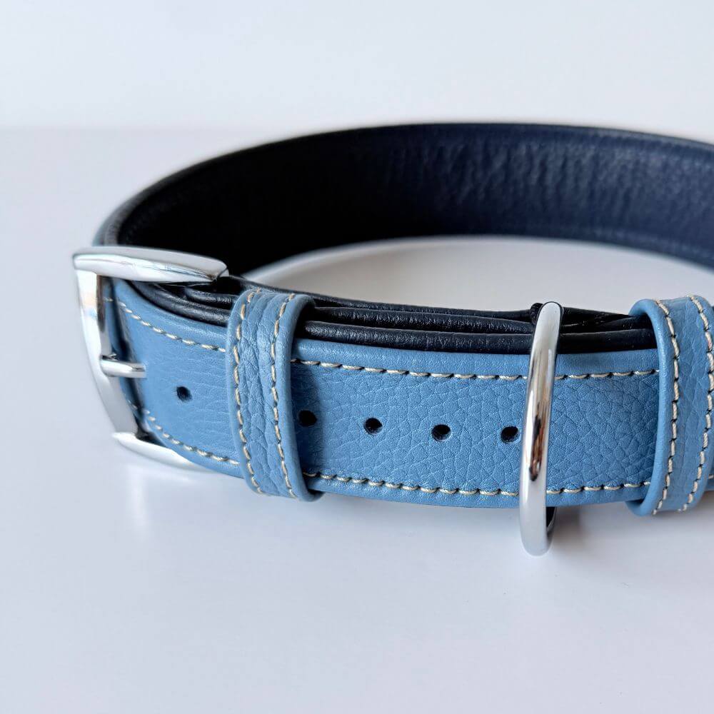 Turquoise genuine leather dog collar with silver buckle 