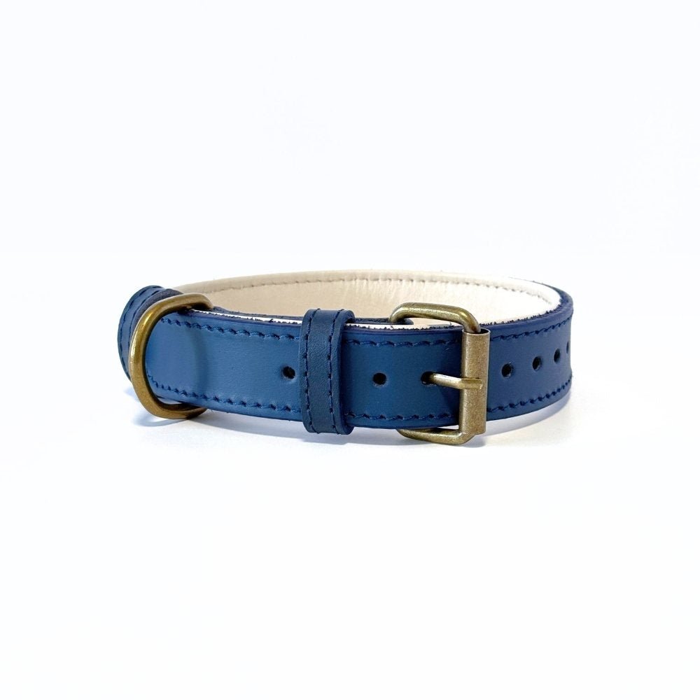 CustomFit – Soft Padded Blue Leather Dog Collar