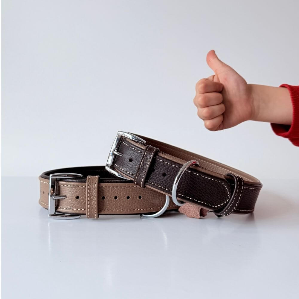 Premium Leather Dog Collar | Earth & Brown - GAD Roots