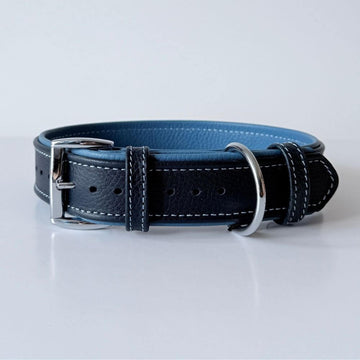 Premium Leather Dog Collar | Navy Blue & Turquoise