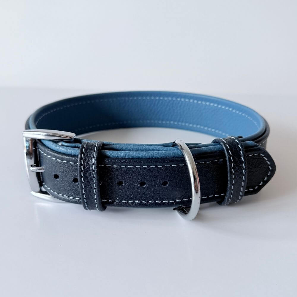 Premium Leather Dog Collar | Navy Blue & Turquoise - GAD