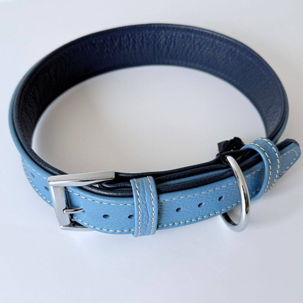 Premium Leather Dog Collar | Turquoise & Navy Blue - GAD