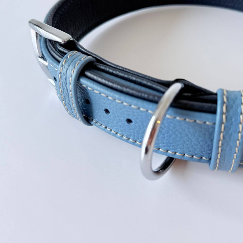 Premium Leather Dog Collar | Turquoise & Navy Blue - GAD