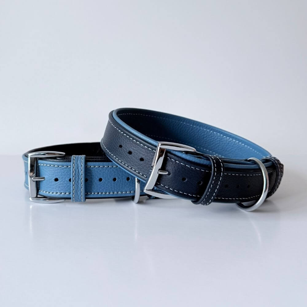 Premium Leather Dog Collar | Turquoise & Navy Blue - GAD Roots
