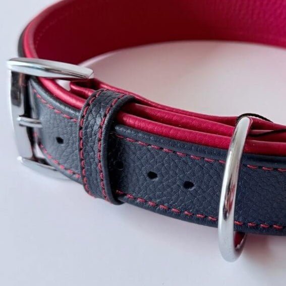 Premium Padded Floater Leather Dog Collar | Navy Blue & Red - GAD