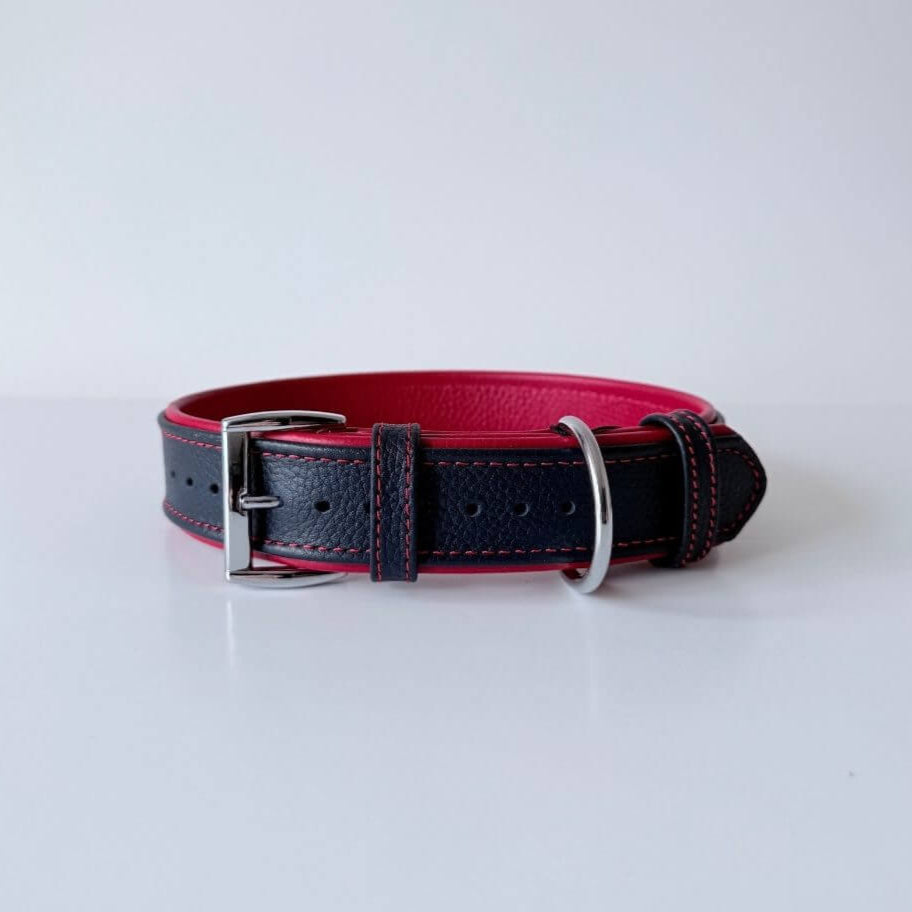 Premium Padded Floater Leather Dog Collar | Navy Blue & Red - GAD