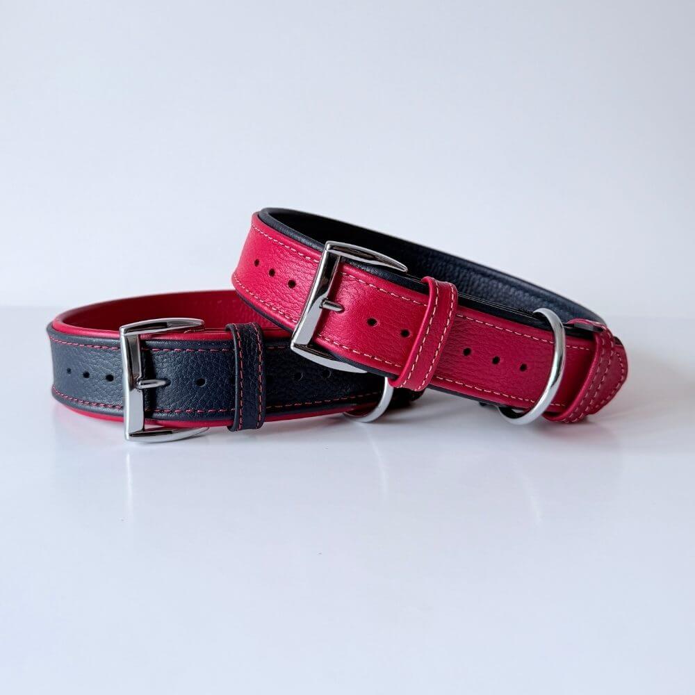 Premium Padded Floater Leather Dog Collar | red & navy blue - GAD Roots