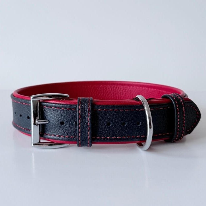 Premium Padded Floater Leather Dog Collar | Navy Blue & Red - GAD Roots