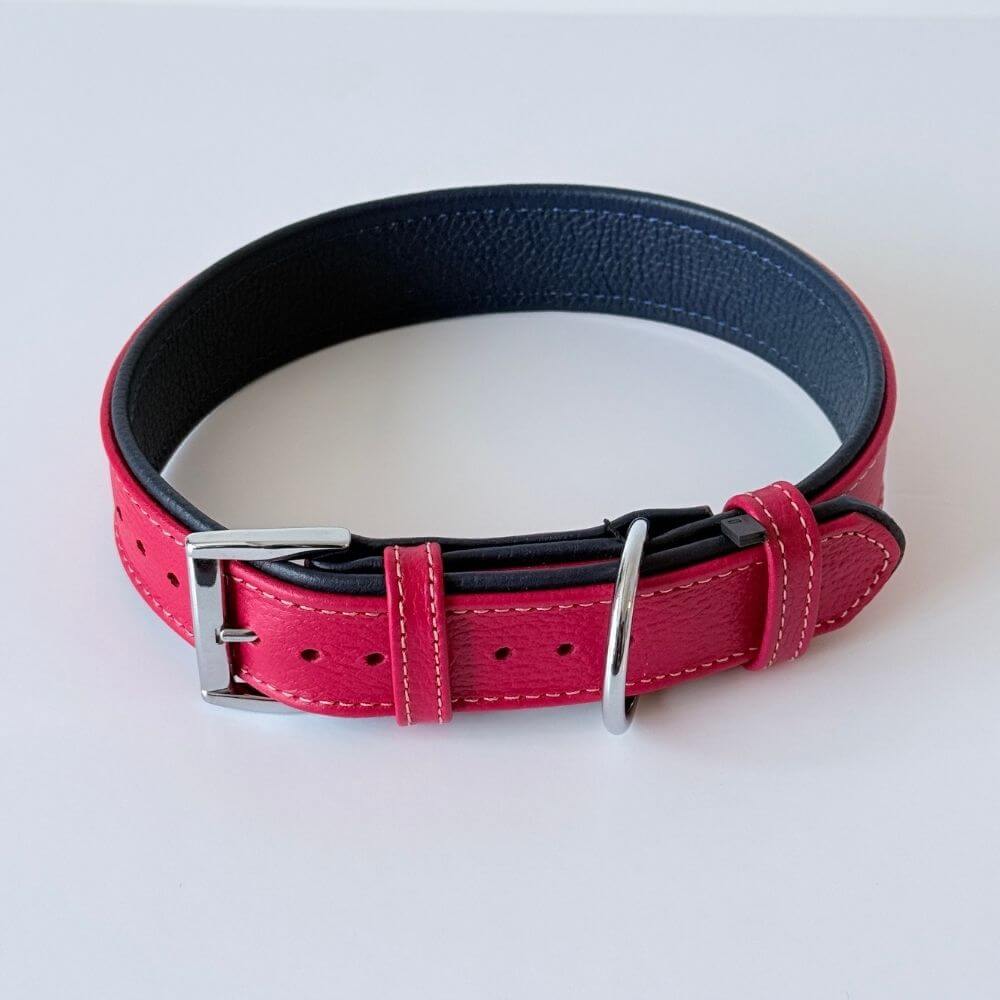 Premium Padded Floater Leather Dog Collar – Red & Navy Blue - GAD Roots