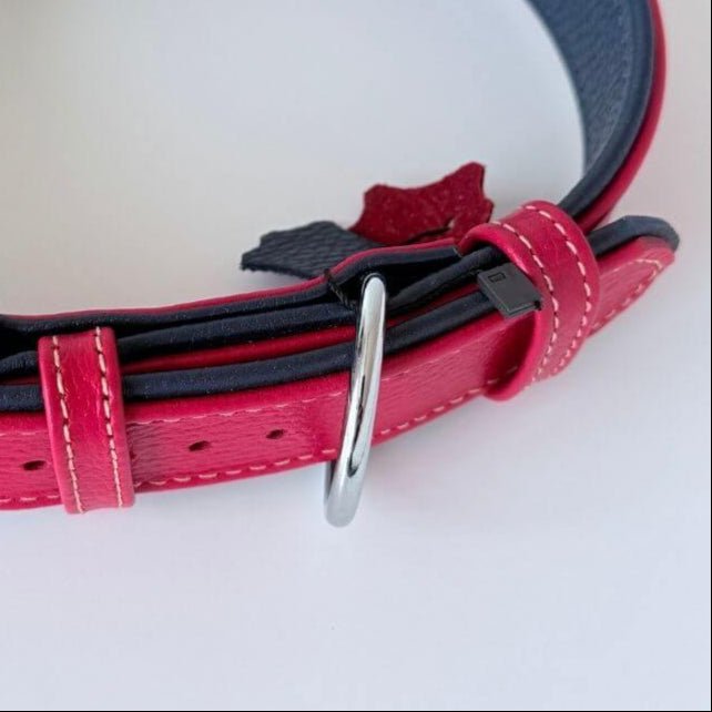 Premium Padded Floater Leather Dog Collar – Red & Navy Blue