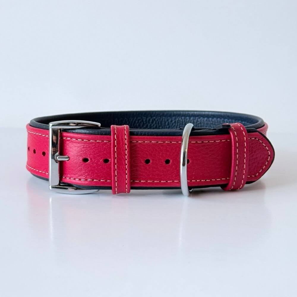 Premium Padded Floater Leather Dog Collar – Red & Navy Blue - GAD Roots
