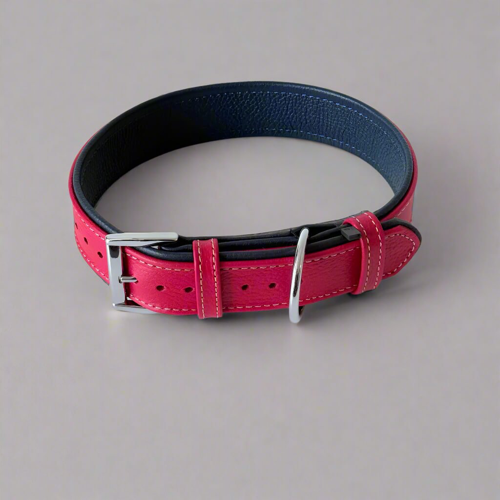 Red - Navy Blue Floater Leather Dog Collar - GAD Roots