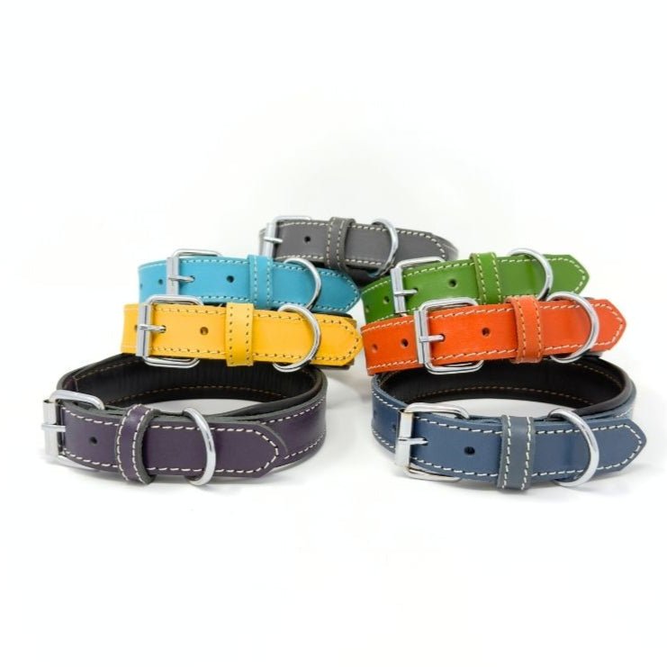 Small Leather Dog Collar – Soft Padded Handmade | ColorPop Series (18.5") - GAD Roots