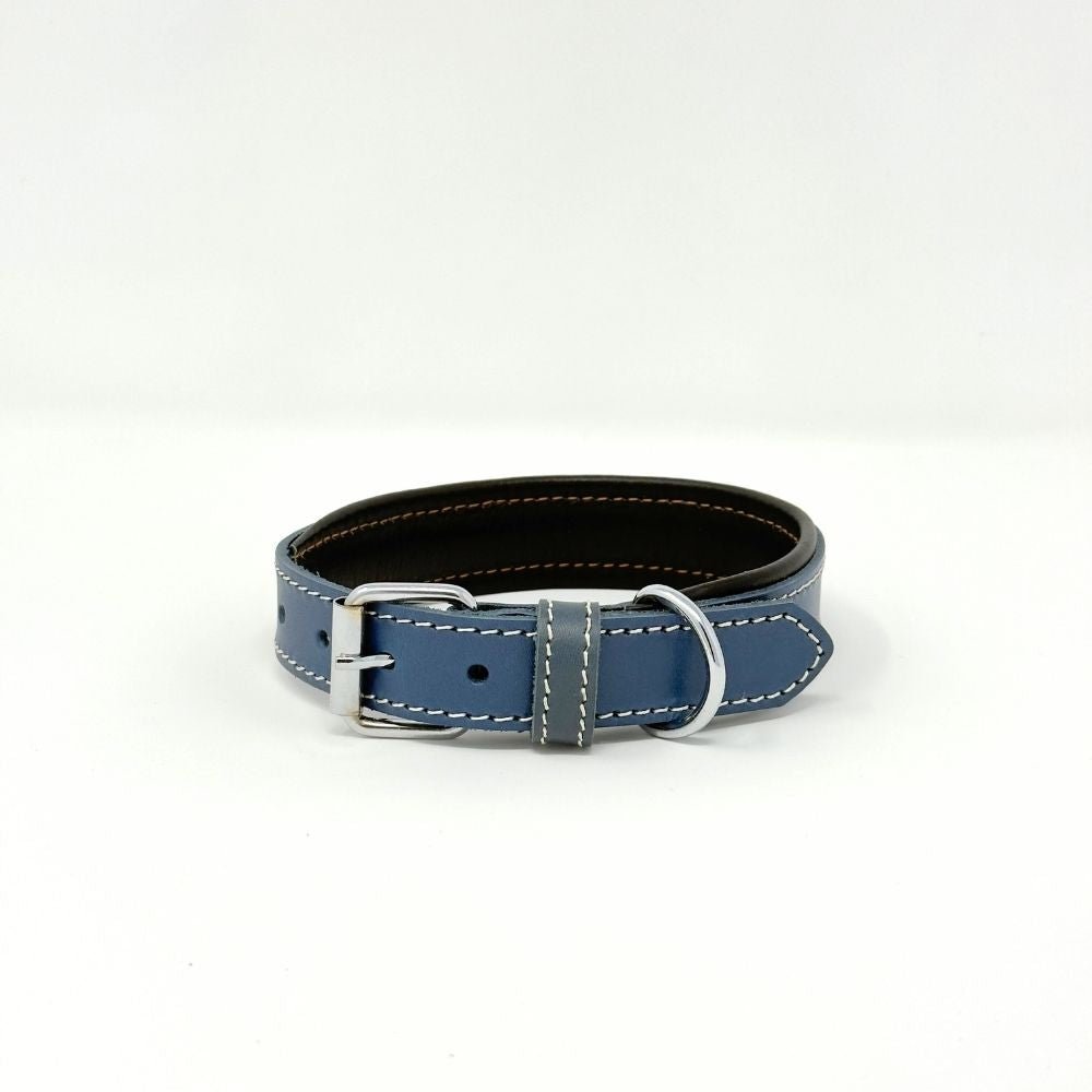 Small Leather Dog Collar – Soft Padded Handmade | ColorPop Series (18.5") - GAD Roots