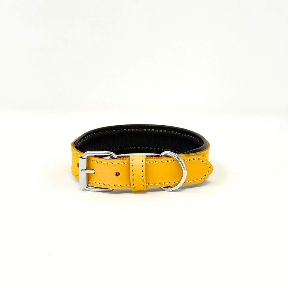 Small Leather Dog Collar – Soft Padded Handmade | ColorPop Series (18.5") - GAD Roots