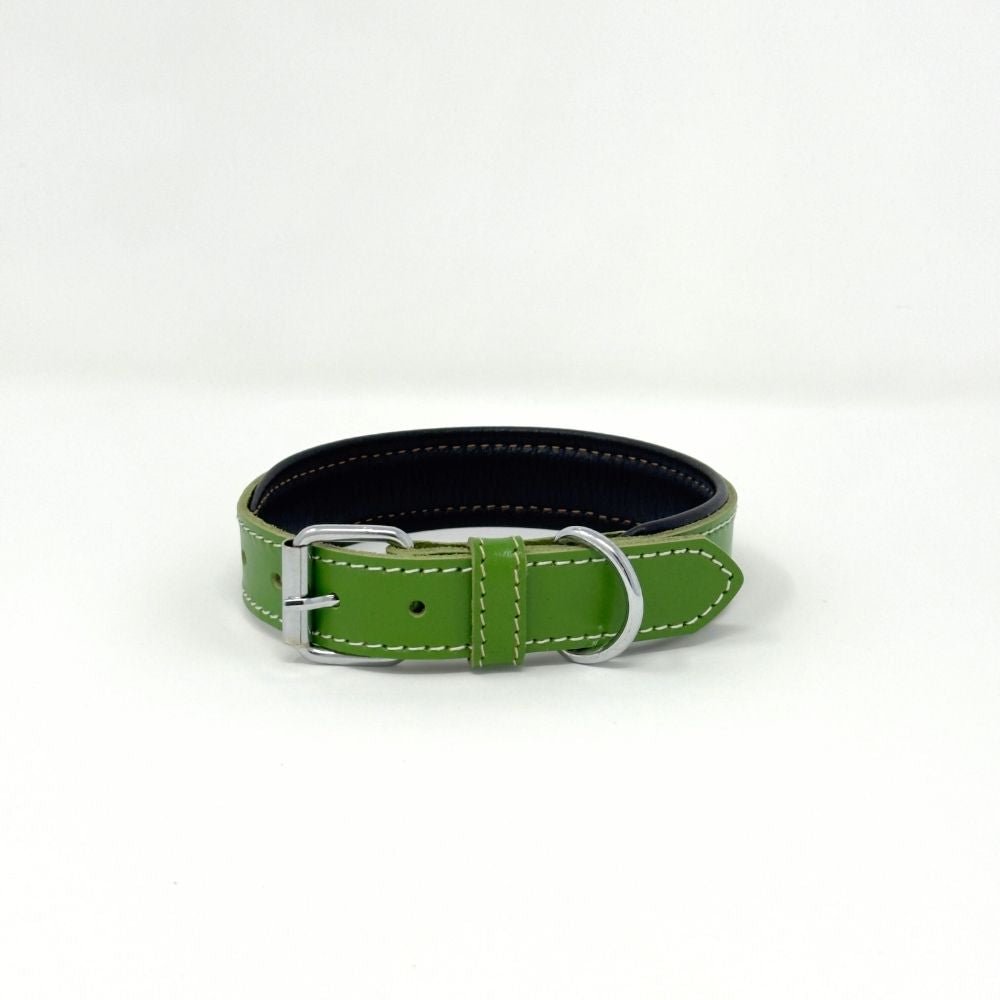 Small Leather Dog Collar – Soft Padded Handmade | ColorPop Series (18.5") - GAD Roots