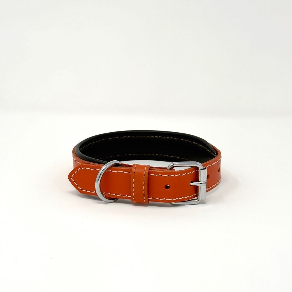 Small Leather Dog Collar – Soft Padded Handmade | ColorPop Series (18.5") - GAD Roots