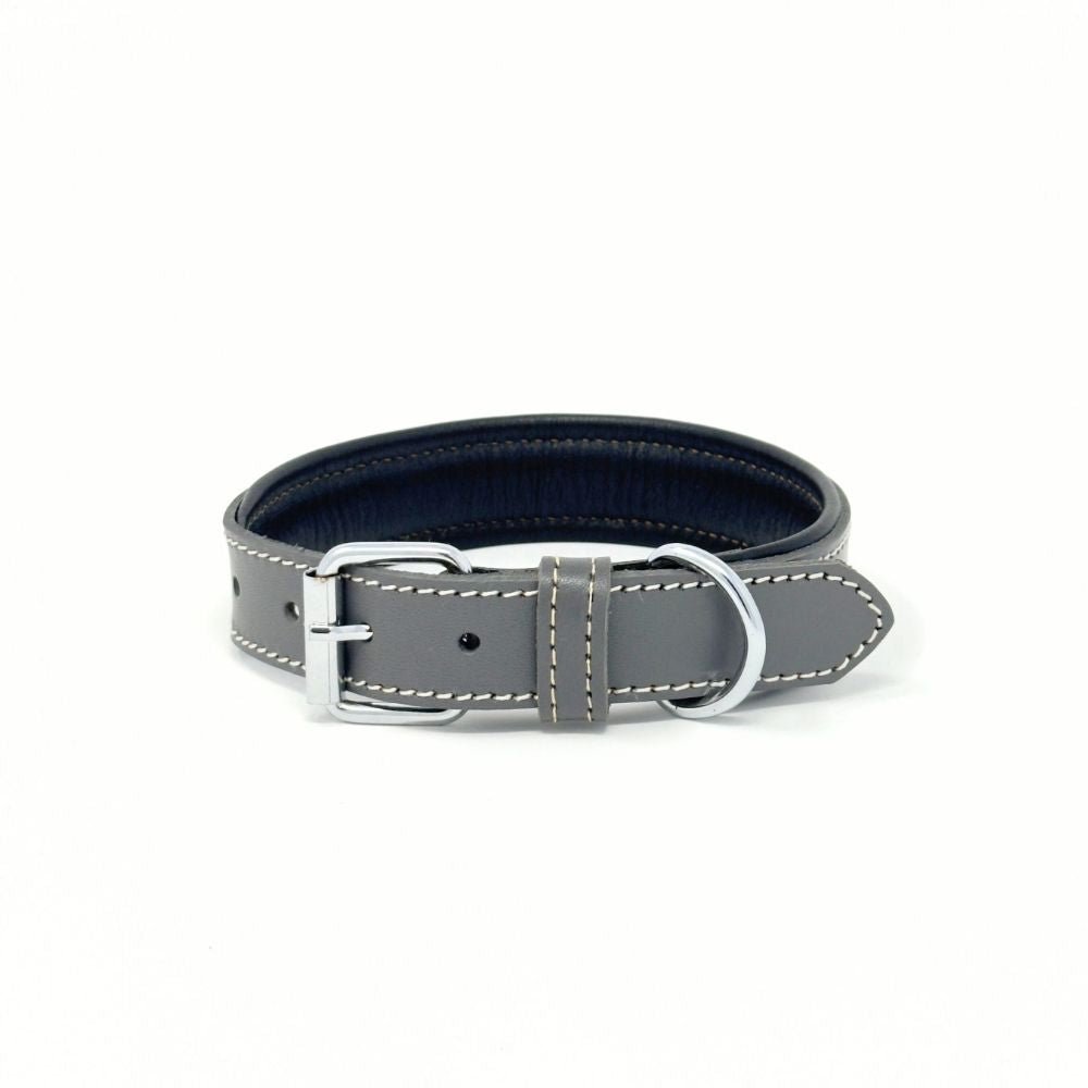 Small Leather Dog Collar – Soft Padded Handmade | ColorPop Series (18.5") - GAD Roots