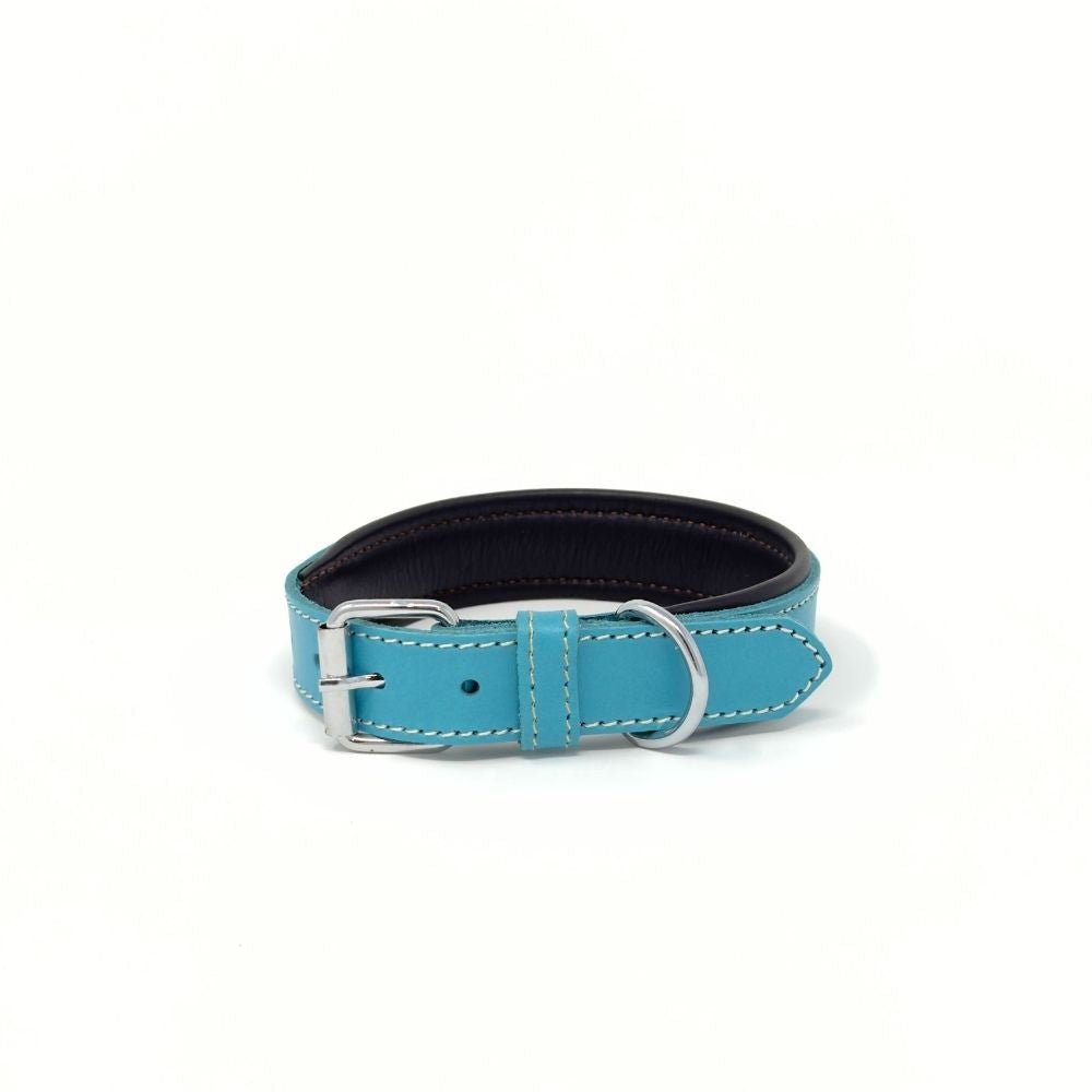 Small Leather Dog Collar – Soft Padded Handmade | ColorPop Series (18.5") - GAD Roots