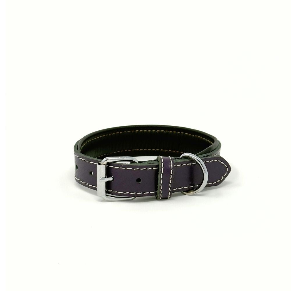 Small Leather Dog Collar – Soft Padded Handmade | ColorPop Series (18.5") - GAD Roots