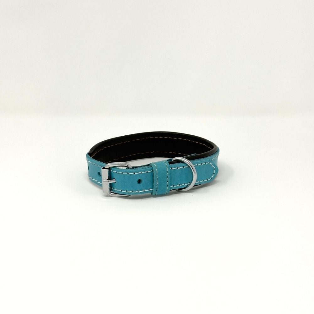 XSmall Leather Dog Collar – Soft Padded Handmade | ColorPop Series (16.5") - GAD Roots