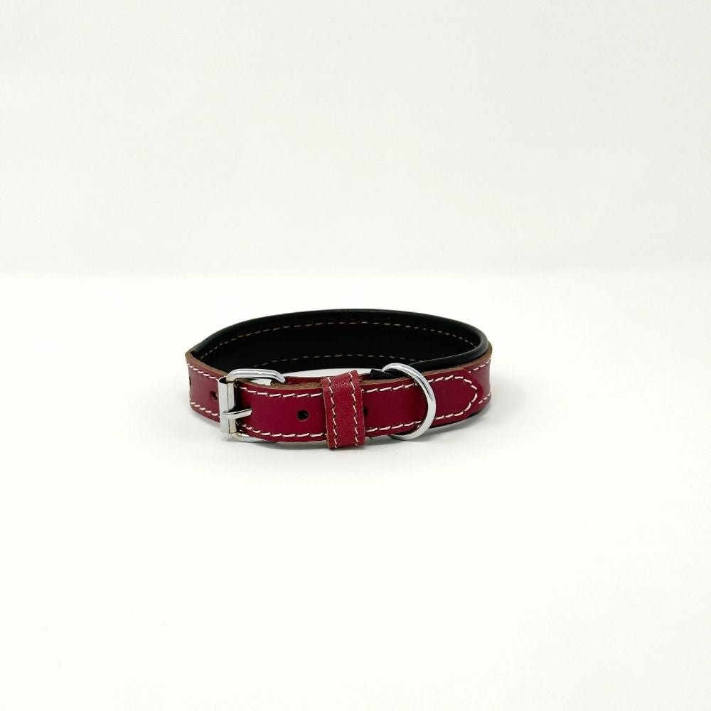 XSmall Leather Dog Collar – Soft Padded Handmade | ColorPop Series (16.5") - GAD Roots