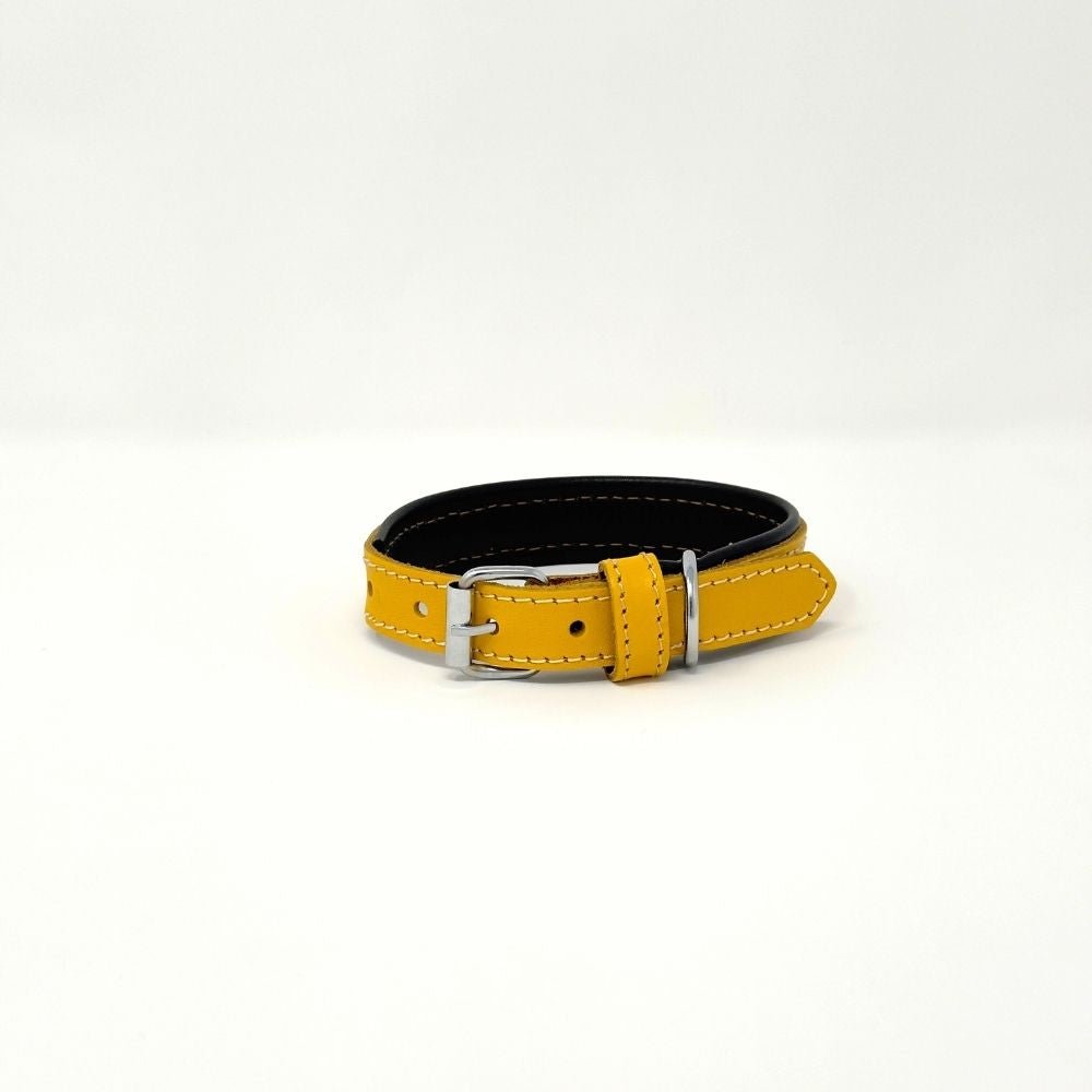 XSmall Leather Dog Collar – Soft Padded Handmade | ColorPop Series (16.5") - GAD Roots