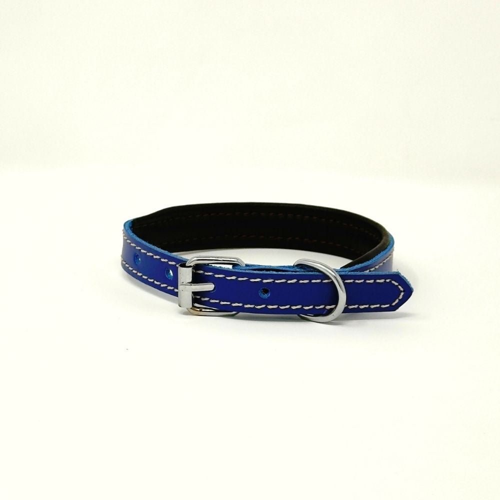 XXSmall Leather Dog Collar | ColorPop Series – Soft Padded Handmade (13.8") - GAD Roots