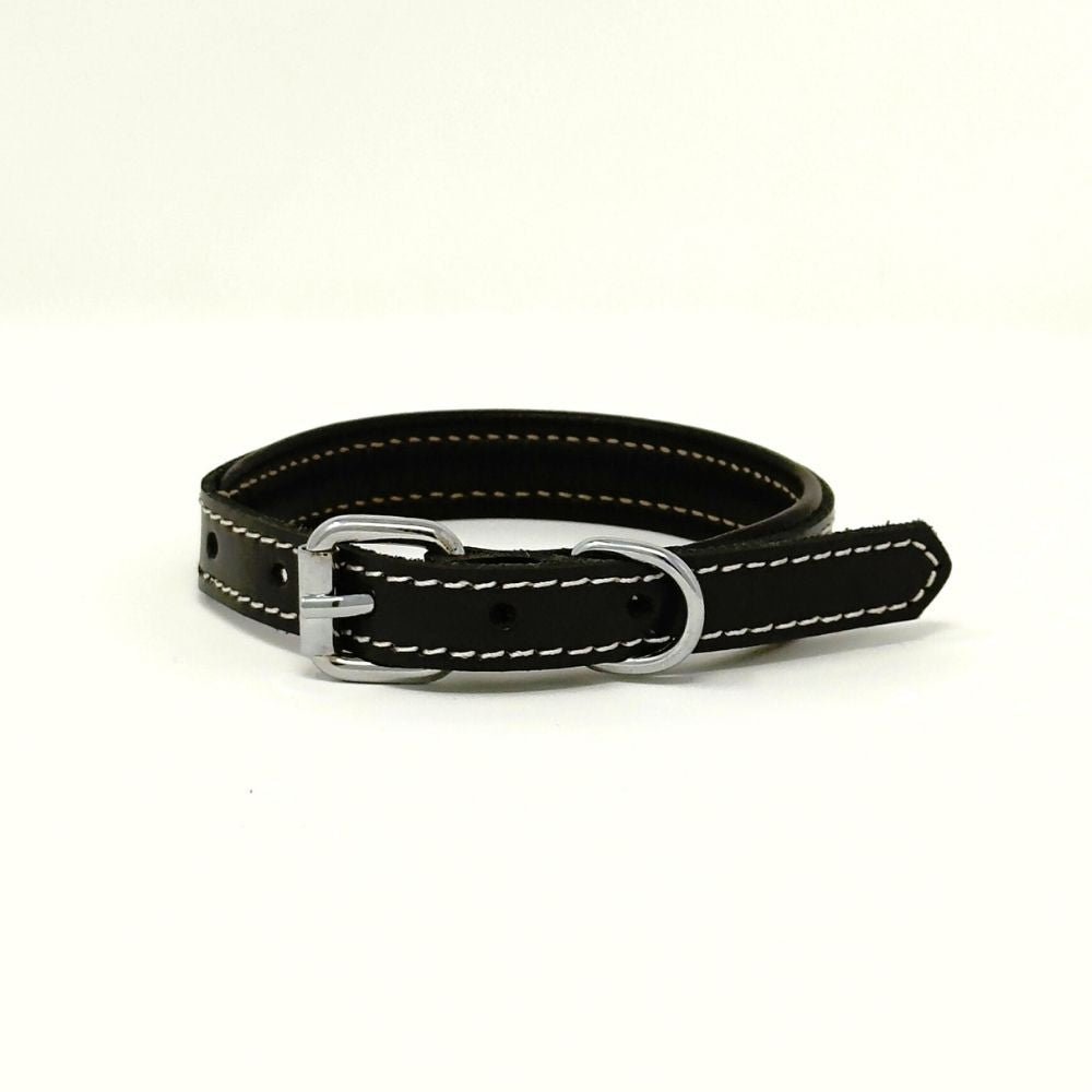 XXSmall Leather Dog Collar | ColorPop Series – Soft Padded Handmade (13.8") - GAD Roots