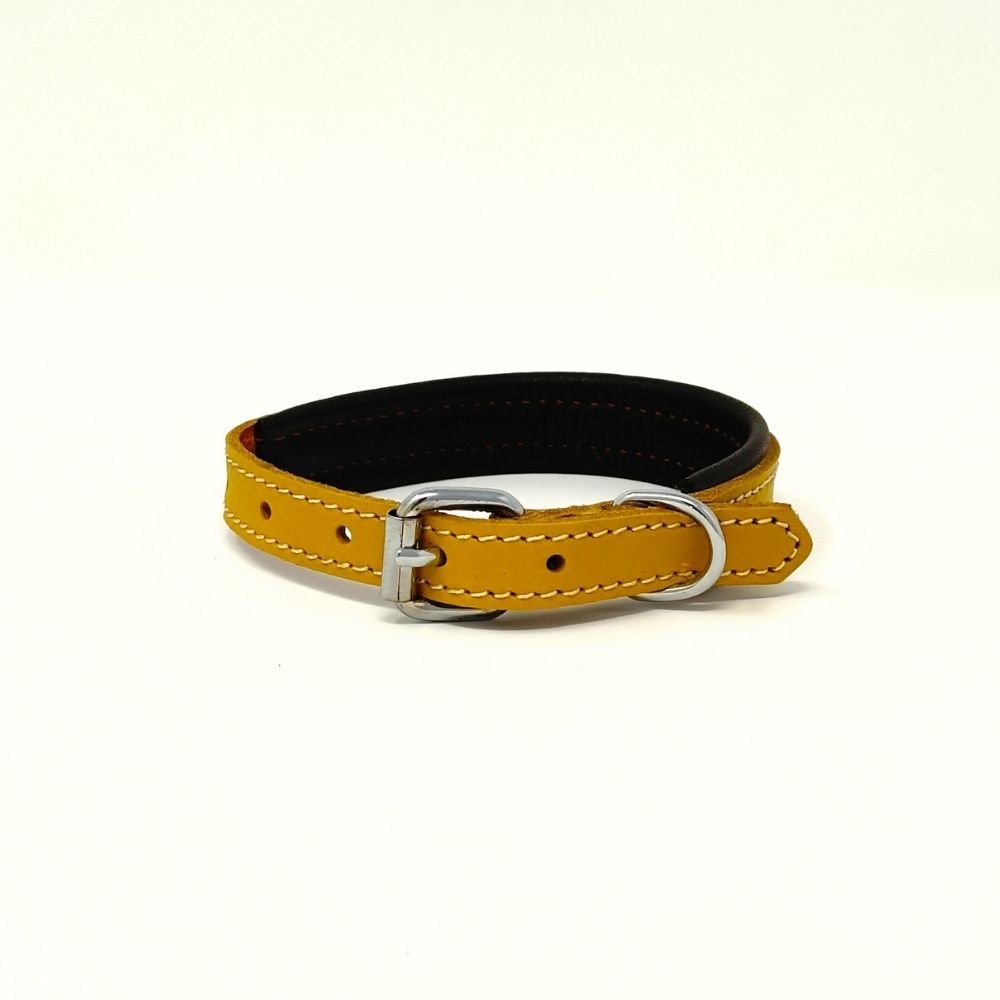 XXSmall Leather Dog Collar | ColorPop Series – Soft Padded Handmade (13.8") - GAD Roots