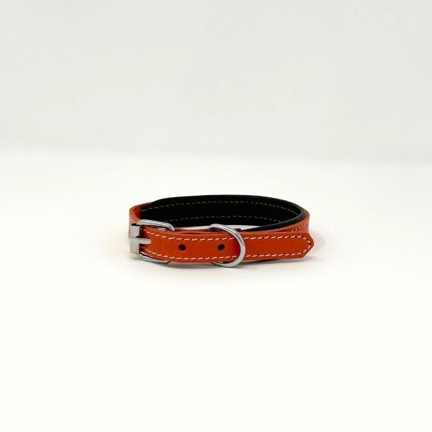 XXSmall Leather Dog Collar | ColorPop Series – Soft Padded Handmade (13.8") - GAD Roots