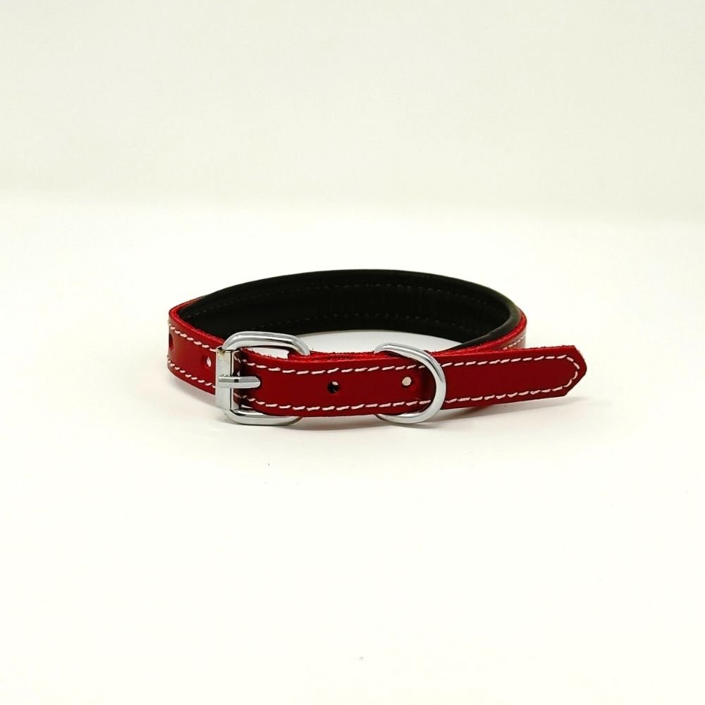 XXSmall Leather Dog Collar | ColorPop Series – Soft Padded Handmade (13.8") - GAD Roots
