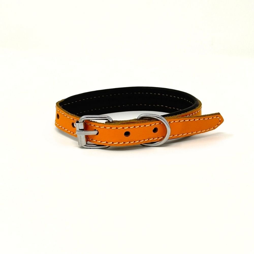 XXSmall Leather Dog Collar | ColorPop Series – Soft Padded Handmade (13.8") - GAD Roots